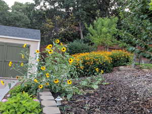 View of yard with a shed