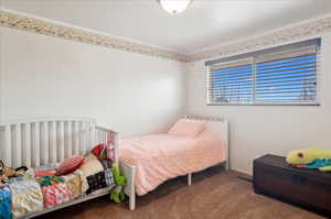 Bedroom with carpet flooring