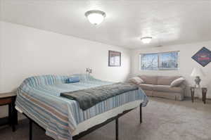 Bedroom featuring carpet flooring and a textured ceiling