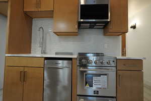 Kitchen featuring ventilation hood, decorative backsplash, high end stainless steel range, and sink