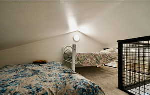 Carpeted bedroom featuring vaulted ceiling and a textured ceiling