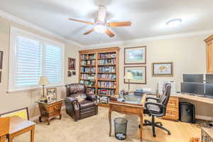 Carpeted office space featuring ceiling fan and ornamental molding