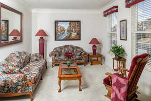 Carpeted living room featuring ornamental molding