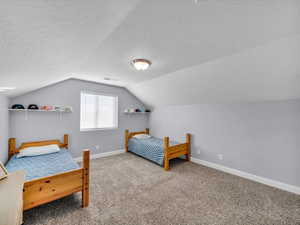 Bedroom with lofted ceiling and carpet floors