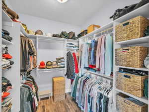 Walk in closet with wood-type flooring