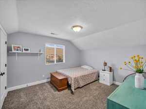 Carpeted bedroom with a textured ceiling and lofted ceiling