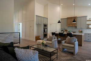 Living room featuring sink, high vaulted ceiling, and light wood-type flooring