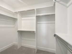 Spacious closet featuring carpet flooring