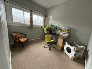 Office space with carpet flooring and a textured ceiling