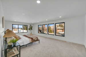 Bedroom with light carpet