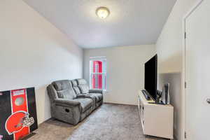 Carpeted living room featuring a textured ceiling