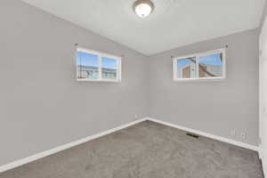 Empty room featuring plenty of natural light, carpet floors, and a textured ceiling