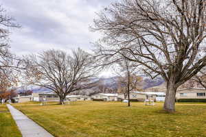 View of yard with a mountain view