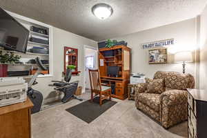 Carpeted office featuring a textured ceiling