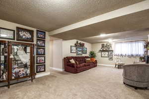 Living room with carpet flooring and a textured ceiling