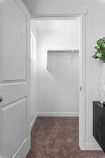 Spacious closet featuring dark colored carpet