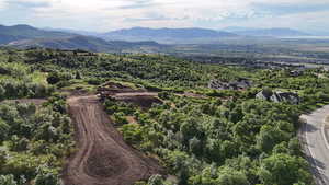 Bird's eye view featuring a forest view and a mountain view