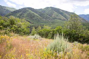 Mountain view featuring a forest view