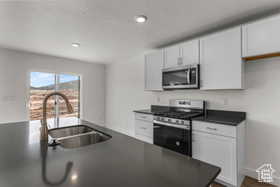 Kitchen with stainless steel appliances, white cabinetry, and sink