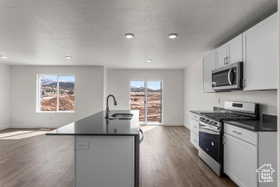 Kitchen with white cabinetry, sink, stainless steel appliances, dark hardwood / wood-style flooring, and a kitchen island with sink