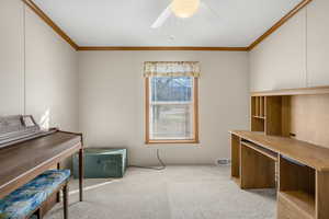 Misc room featuring light carpet, ceiling fan, and ornamental molding