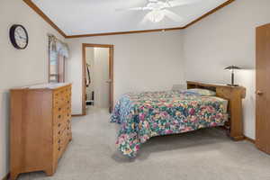 Carpeted bedroom with ceiling fan and crown molding