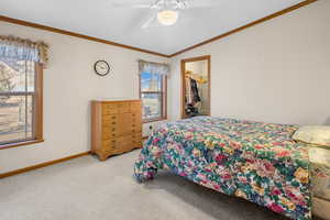 Carpeted bedroom featuring a walk in closet, a closet, ceiling fan, and crown molding