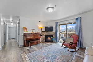 Living room featuring a stone fireplace, wood-type flooring, and a textured ceiling