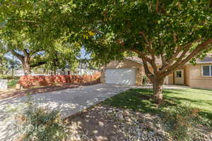 View of property hidden behind natural elements featuring a garage