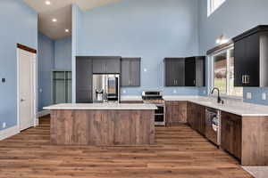 Kitchen featuring a towering ceiling, plenty of natural light, a kitchen island, appliances with stainless steel finishes