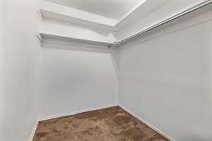 Spacious closet featuring carpet