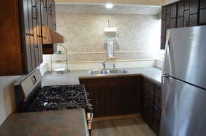 Kitchen with stainless steel appliances, a sink, ventilation hood, and wood finished floors