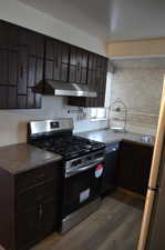 Kitchen featuring under cabinet range hood, wood finished floors, dark brown cabinets, and appliances with stainless steel finishes