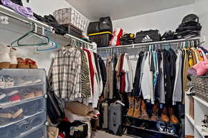 Spacious closet featuring carpet flooring