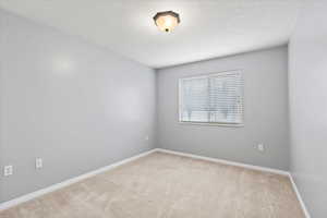 3rd bedroom with a closet, fresh paint, light colored carpet and natural light