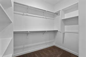 Spacious closet featuring carpet flooring