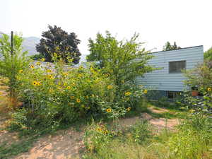 View of yard with a mountain view