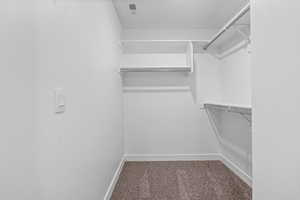 Walk in closet with carpet