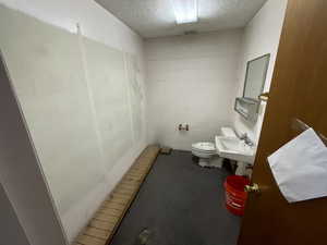 Bathroom with toilet, sink, and a textured ceiling