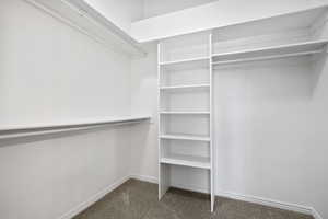 Spacious closet with dark colored carpet