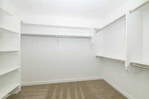 Spacious closet with carpet flooring