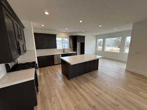 Kitchen with sink, stainless steel appliances, a center island, light hardwood / wood-style floors, and a healthy amount of sunlight