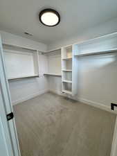 Walk in closet with carpet floors