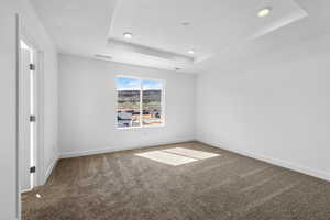 Unfurnished room with carpet and a raised ceiling