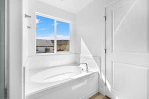 Bathroom with a washtub and hardwood / wood-style flooring