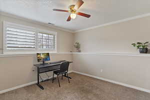 Carpeted office with ceiling fan, crown molding, and a textured ceiling