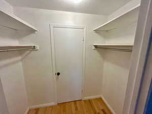 Spacious closet with light wood-type flooring