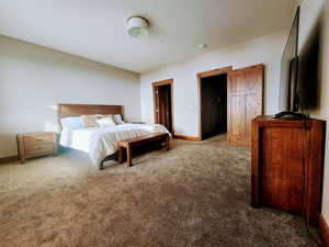 View of carpeted master bedroom