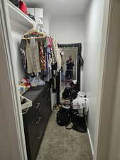 Spacious closet featuring carpet floors