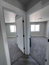 Corridor with a wealth of natural light, dark hardwood / wood-style flooring, and a textured ceiling